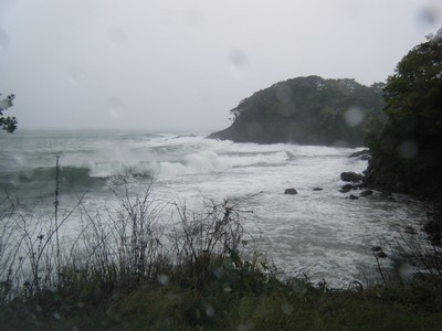 2009_10080017