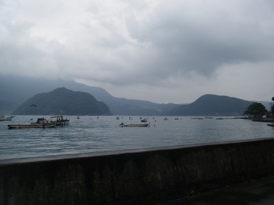 2009_10080005