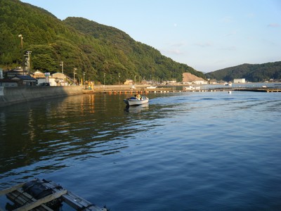 2009_10010010