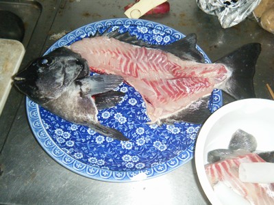 2009_10040032