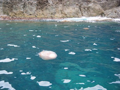 2009_10010006