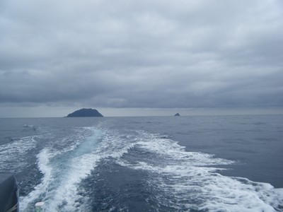 2009_10010008
