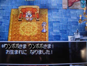 DQ5-1