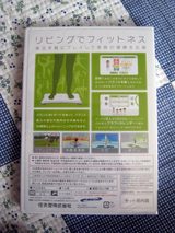 WiiFit5sum
