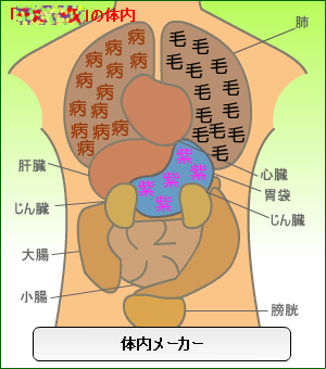 ÂÎÆâ¥á¡¼¥«¡¼
