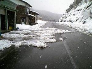 20080216���㣲