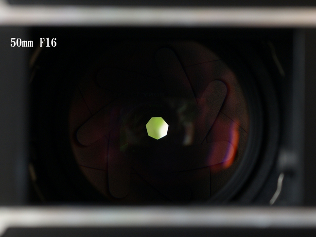50mm　F16