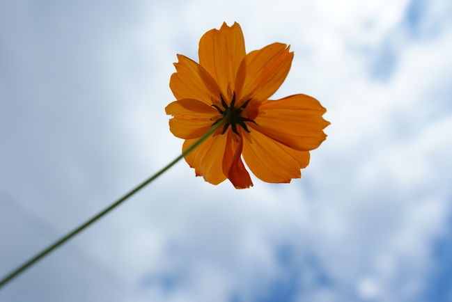 09B
