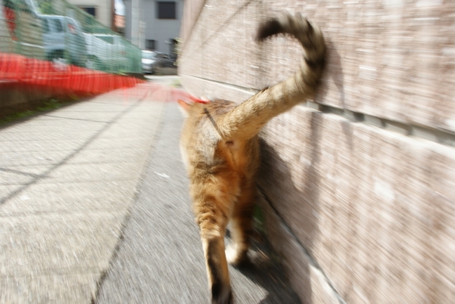 17b