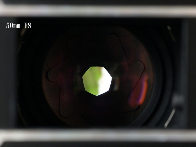 50mm　F8