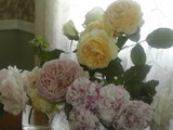 eng-rose