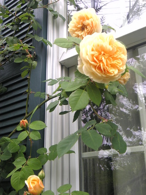 Image879