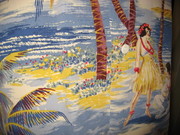 MOONLIGHT HULA