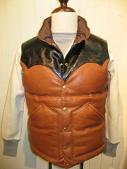 Down Vest