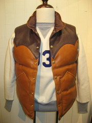 Down Vest