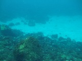透明度