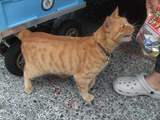 漁ちゃん