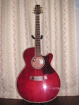 TDP500SP-WR