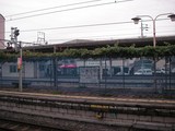 塩尻駅のぶどう棚
