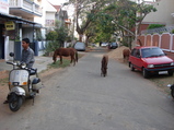 machi