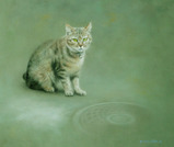 �ѥ��ƥ����ʡؽв񤤡�