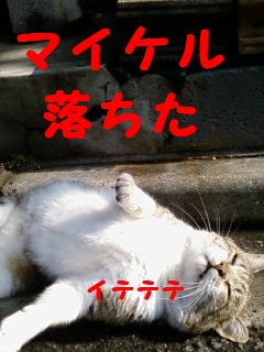 イテテテ
