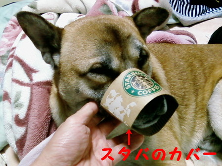 くち輪?