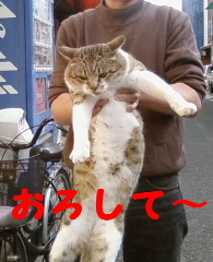 おろせ〜