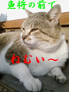 ひなたぼっこ・・