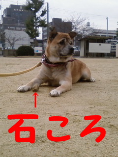 石が大好き