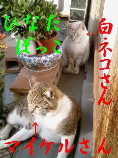 お友達と