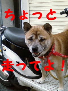 走ってよ