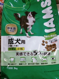 成犬用