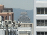 ɱϩ�룱