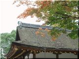 上賀茂神社で紅葉の気配