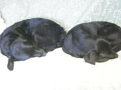 �ޤ�ä�