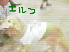 �����