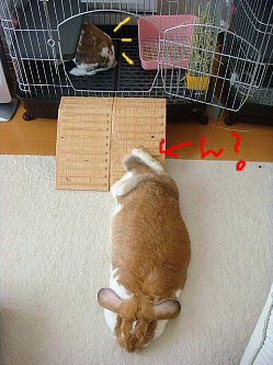 ���äס���