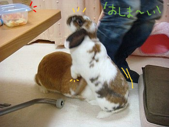 �Ϥä��󡪡�