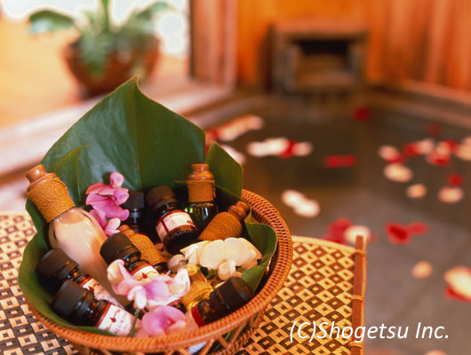 shogetsu_spa_image_type2