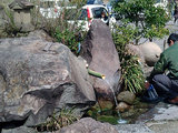 honguu02