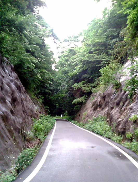 20080629161949