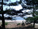 20080318090134