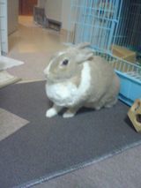 milko001