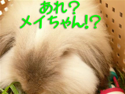 �ᥤ����󡩡�