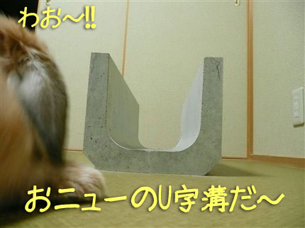 ���˥塼������