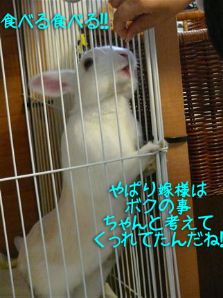 �����繥����