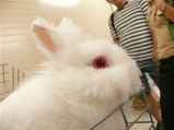 ������󡡶�ĥ���Ƥ롩