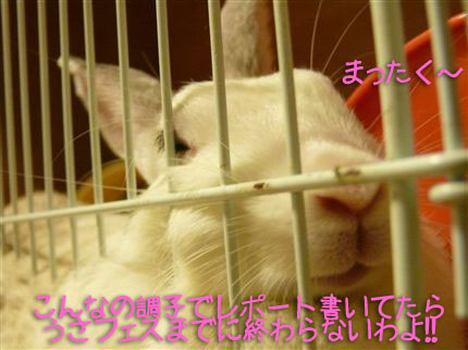 �ޤä�����