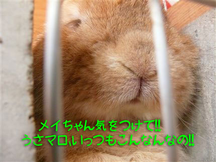 ����Ĥ��ơ�